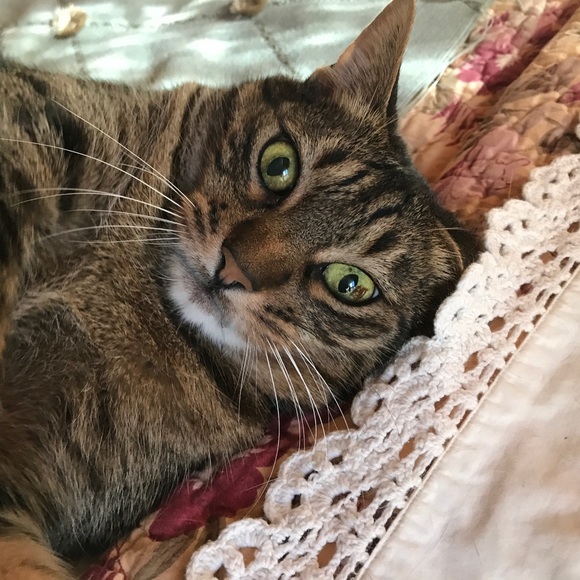 Meet your Posher, Denise - Picture 2 of 5